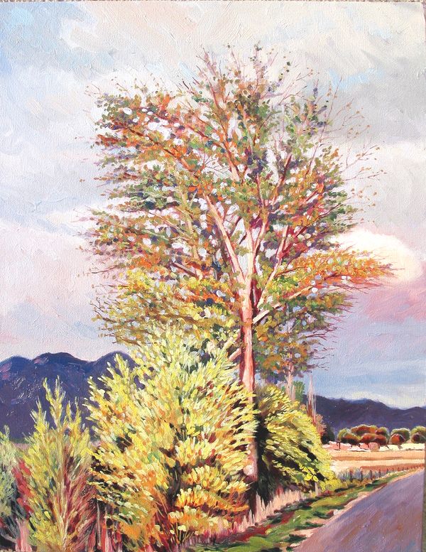 large yellow brush and tree